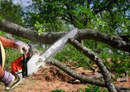 Lowell, IN Tree Services Company